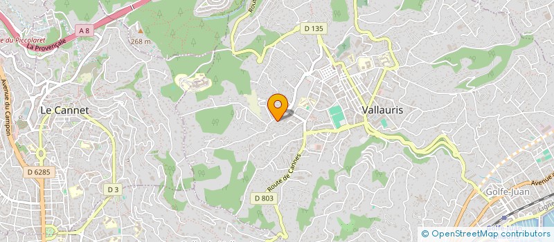 localisation de l'entreprise VETERINAIRES POUR TOUS - PACA à VALLAURIS