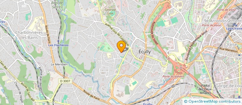 localisation de l'entreprise VEYDIX  ECULLY