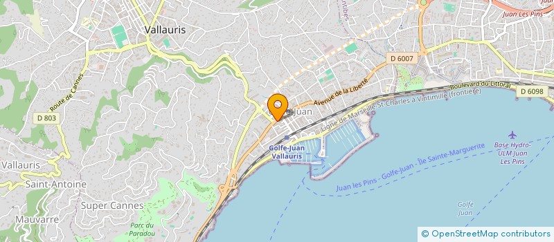 localisation de l'entreprise VEYRAT VISION à VALLAURIS