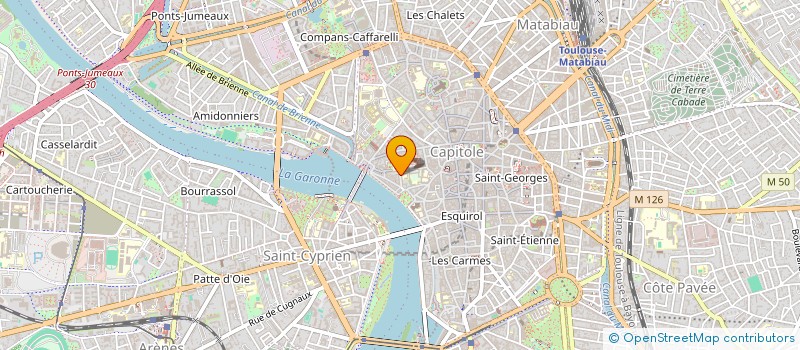 localisation de l'entreprise VIADENE SERVICES à TOULOUSE