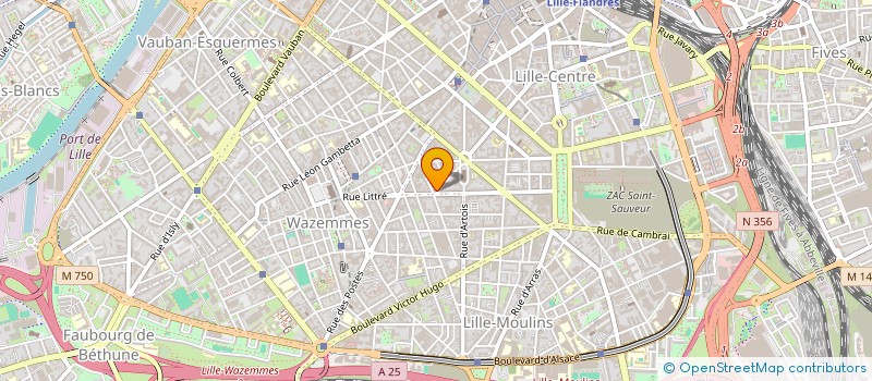 localisation de l'entreprise VIADOM ACTIVITES NORD à LILLE