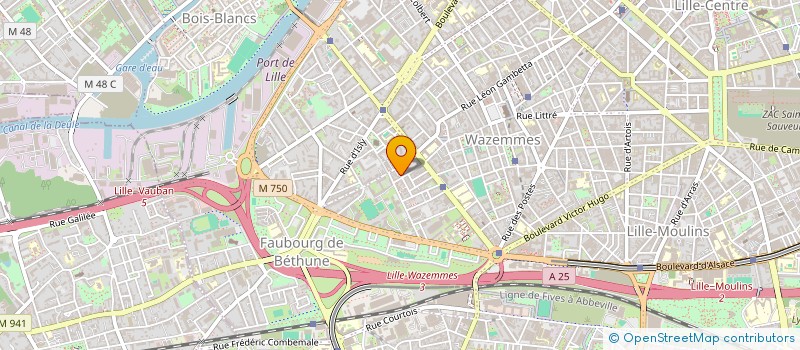 localisation de l'entreprise VIAGER THOMASSIAN à LILLE