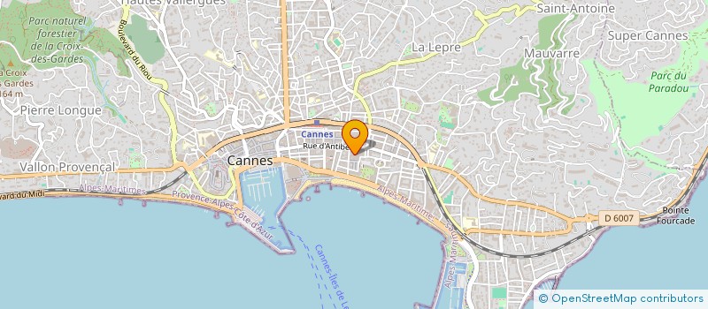 localisation de l'entreprise VIAGERE ET IMMOBILIERE MEDITERRANEE à CANNES