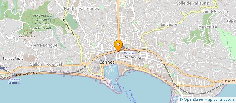 localisation de l'entreprise VIALE ET DEMICHELIS à CANNES