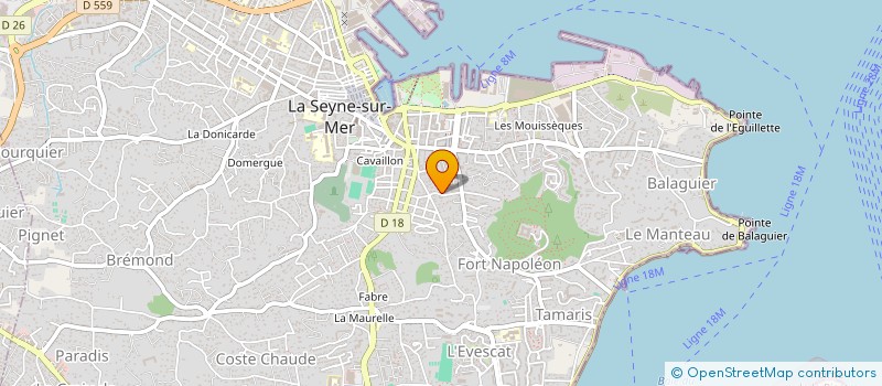 localisation de l'entreprise VIALLET'S à LA SEYNE-SUR-MER