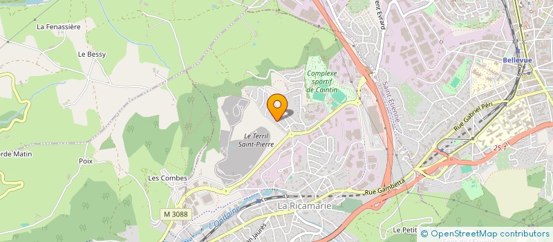 localisation de l'entreprise VIANGARD  LA RICAMARIE