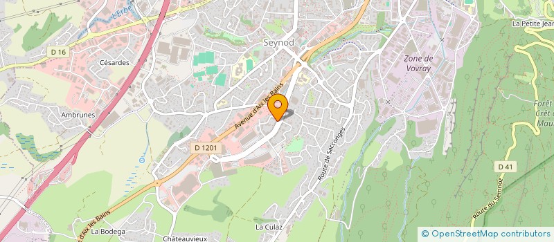 localisation de l'entreprise VIBES & DREAMS à ANNECY