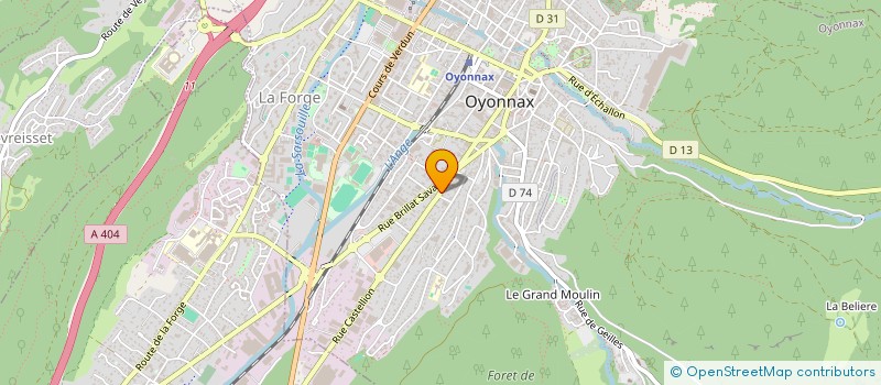localisation de l'entreprise VICENOL  OYONNAX
