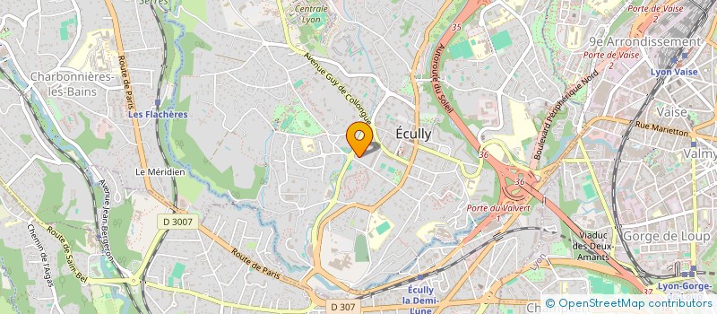 localisation de l'entreprise VICMACLO  ECULLY