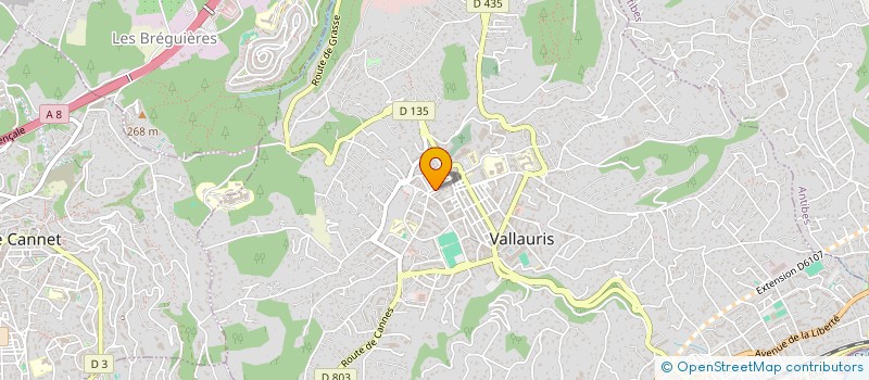 localisation de l'entreprise VICO à VALLAURIS