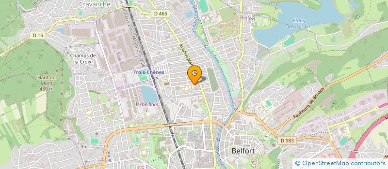 localisation de l'entreprise VIDEASTE DU LION à BELFORT