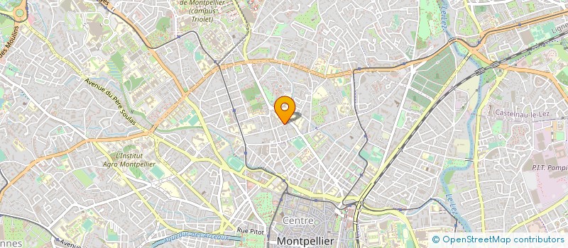 localisation de l'entreprise VIDEO ANIMATION LANGUEDOC à MONTPELLIER