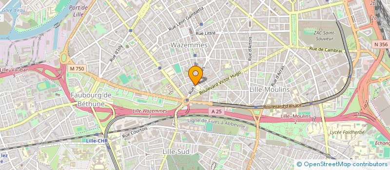 localisation de l'entreprise VIE SANTE NATURE à LILLE