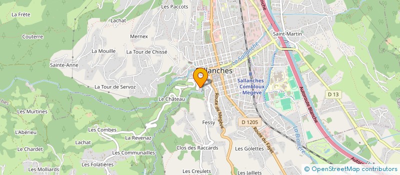 localisation de l'entreprise VIELYO BOUSC à SALLANCHES
