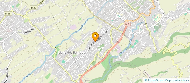 localisation de l'entreprise VIEN DEFOULE à SAINT-PIERRE