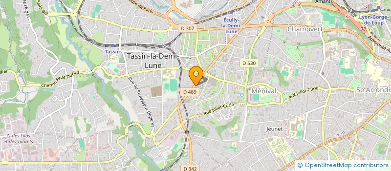 localisation de l'entreprise VIENNOT TURBA CONSEIL  TASSIN-LA-DEMI-LUNE