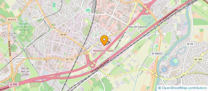 localisation de l'entreprise VIERZON SYNERGIE  LATTES