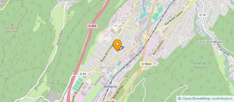 localisation de l'entreprise VIGIELIST à BELLIGNAT
