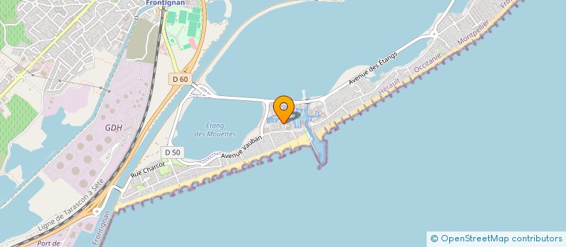 localisation de l'entreprise VIGIER SOLUTIONS à FRONTIGNAN