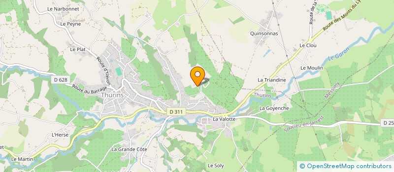 localisation de l'entreprise VIGIS  THURINS