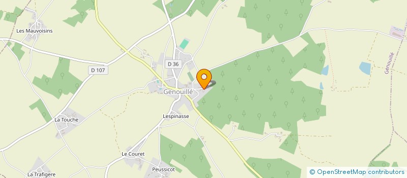 localisation de l'entreprise VIGNAUD BOURGOIN HOLDING  GENOUILLE