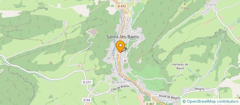 localisation de l'entreprise VIGNERON II  SALINS-LES-BAINS