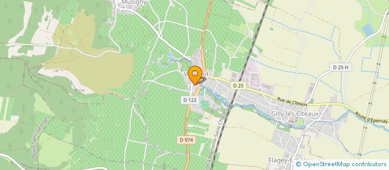 localisation de l'entreprise VIGNES & DOMAINES  VOUGEOT