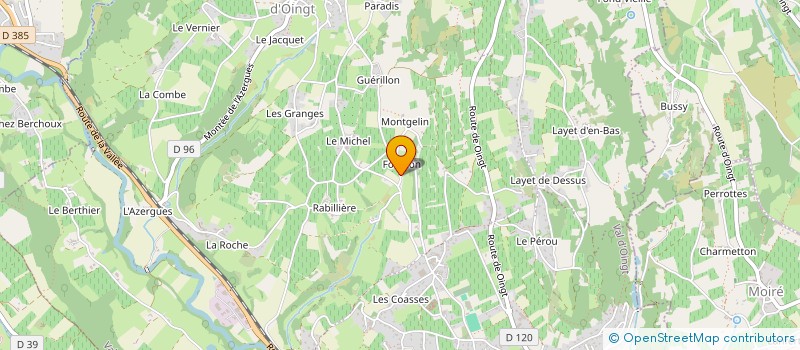 localisation de l'entreprise VIGNOBLE DU DOMAINE DE FOURCON  VAL D'OINGT