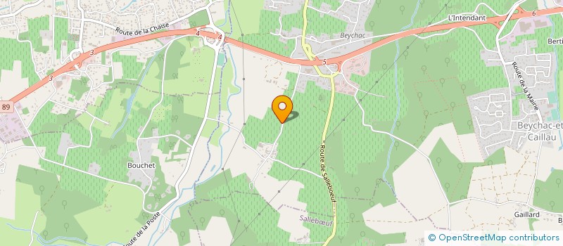 localisation de l'entreprise VIGNOBLES ROCHE TEYCHENEY à BEYCHAC-ET-CAILLAU