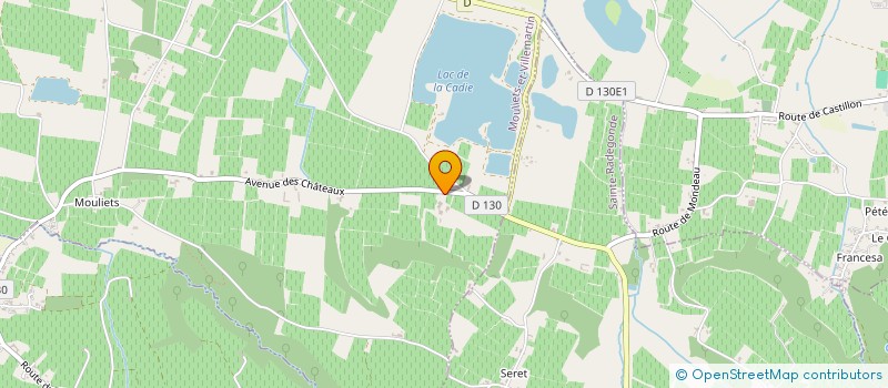 localisation de l'entreprise VIGNOBLES YONNET  MOULIETS-ET-VILLEMARTIN