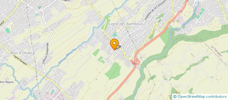 localisation de l'entreprise VIGOUREUX à SAINT-PIERRE