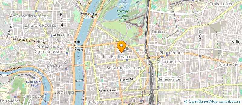 localisation de l'entreprise VIJI AUDIT ET CONSEILS  LYON