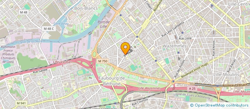 localisation de l'entreprise VIJS à LILLE