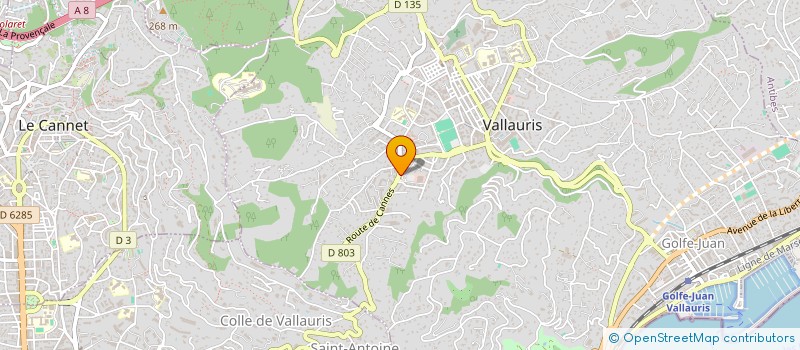 localisation de l'entreprise VILDEL à VALLAURIS