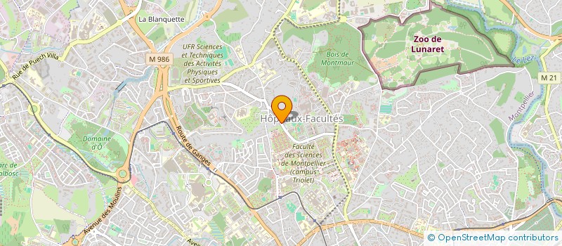 localisation de l'entreprise VILLA AMALIA à MONTPELLIER