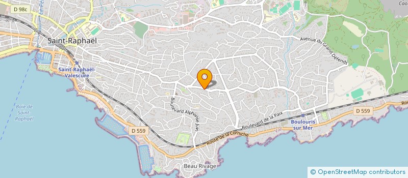 localisation de l'entreprise VILLA CAMELIAS  SAINT-RAPHAEL