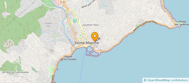 localisation de l'entreprise VILLA EMILIE à SAINTE-MAXIME