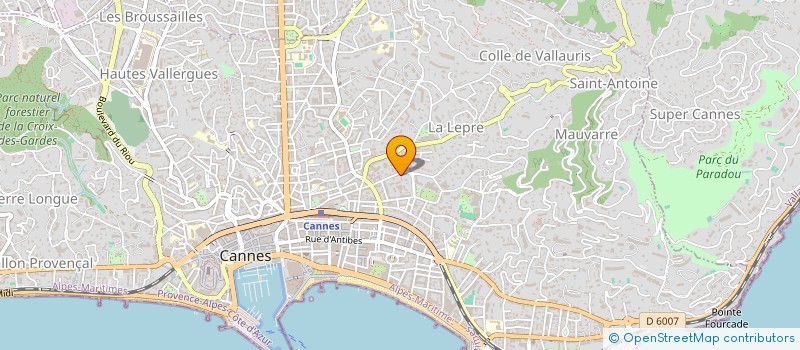 localisation de l'entreprise VILLA LE LYS  CANNES