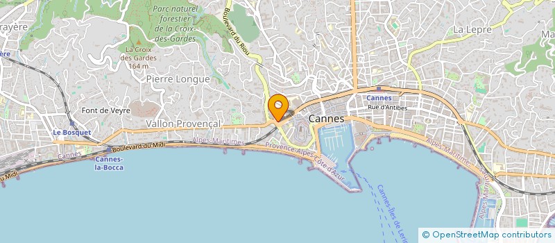 localisation de l'entreprise VILLA LES PALMES  NICE