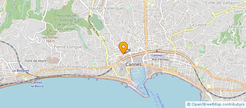 localisation de l'entreprise VILLA MAUPASSANT à CANNES