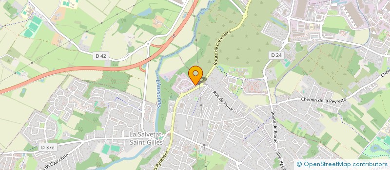 localisation de l'entreprise VILLA RICA  LA SALVETAT-SAINT-GILLES