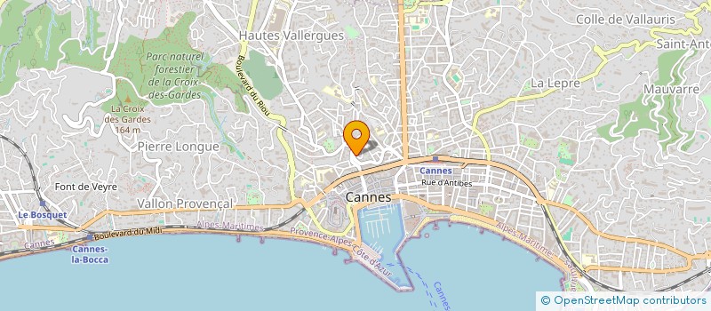 localisation de l'entreprise VILLA ROGERS  CANNES