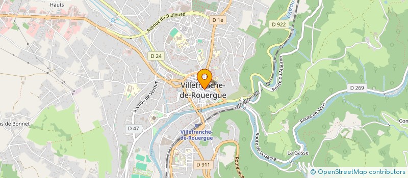 localisation de l'entreprise VILLEFRANCHE DETENTE LOISIRS  VILLEFRANCHE-DE-ROUERGUE