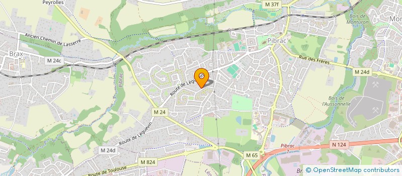 localisation de l'entreprise VIMASSUR  PIBRAC