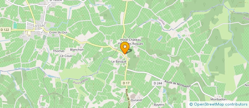 localisation de l'entreprise VINCENT BRASSOUS  PUISSEGUIN