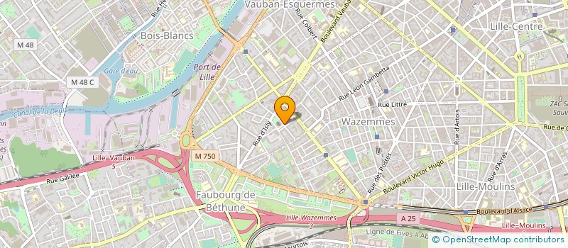 localisation de l'entreprise VINCENT DELECROIX, DAVID HANOIRE ET BENJAMIN HEYNDRICKX,GEOMETRES EXPERTS ASSOCIES à LILLE