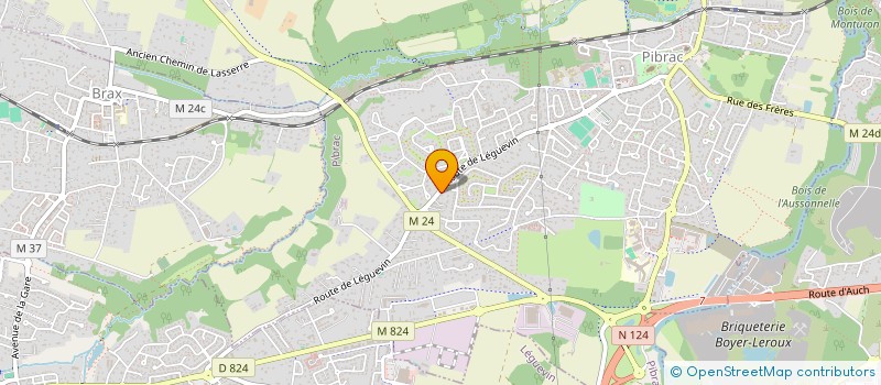 localisation de l'entreprise VINCENT TRANSACTIONS  PIBRAC