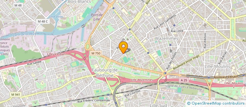 localisation de l'entreprise VINIGAMA à LILLE
