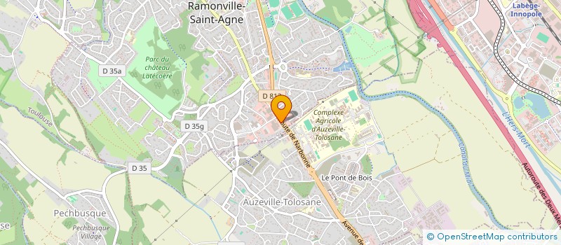 localisation de l'entreprise VINS D AUTAN à RAMONVILLE-SAINT-AGNE