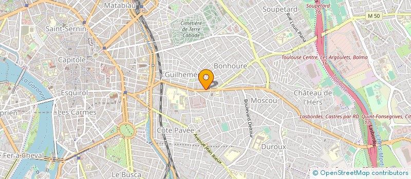 localisation de l'entreprise VINS D'UNE OREILLE  TOULOUSE